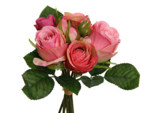 ZZZ3237NUEVO PRODUCTO